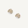 Estrella Studs
